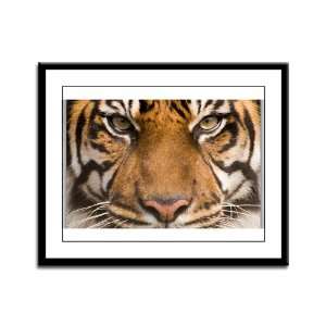  Framed Panel Print Sumatran Tiger Face 
