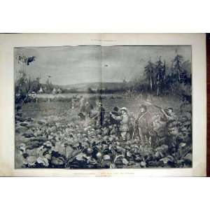   Partridge Shooting Turnip Field Calkin Fine Art 1902