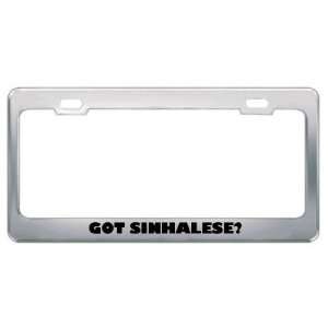 Got Sinhalese? Language Nationality Country Metal License Plate Frame 