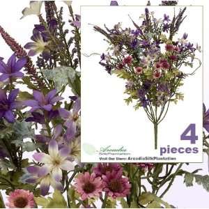   Daisy Tweedia Mixed Flower Bushes _Purple two tone