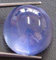 Blue Star Sapphire 6 Rays Sharp 40 44.99 Carats Luster Wholesale Lots 