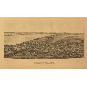  1890 Cazenovia New York, Birds Eye Map