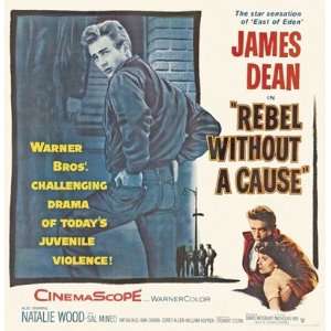  Rebel Without a Cause PREMIUM GRADE Rolled CANVAS Art 
