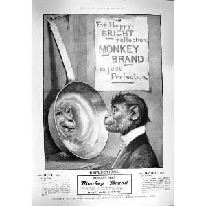  1900 ADVERTISEMENT MONKEY BRAND SOAP LEVER BROTHERS