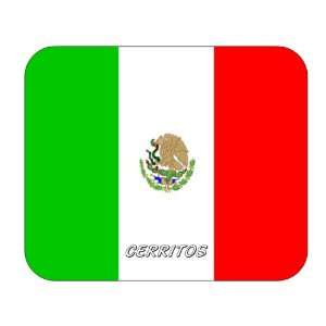  Mexico, Cerritos Mouse Pad 