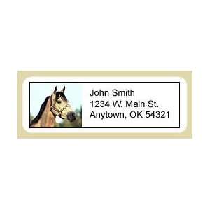  Buckskin Horse Address Labels