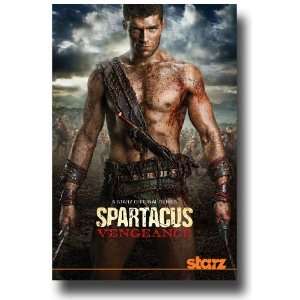  Spartacus Poster   TV Promo Flyer   11 X 17   Vengeance 