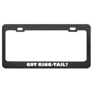 Got Ring Tail? Animals Pets Black Metal License Plate Frame Holder 