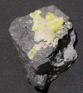 ETTRINGITE W/ CALCITE   EX CHARLIE KEY   S AFRICA 13337  