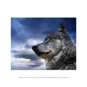  Wolf Face Closeup 10.00 x 8.00 Poster Print