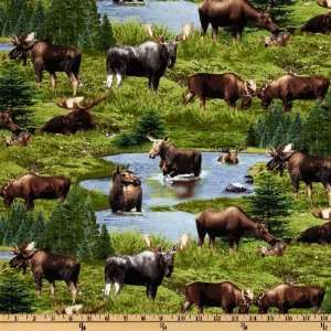  44 Wide North American Wildlife 2011 Moose White Fabric 