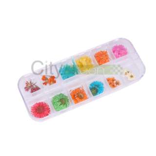 12 PCS Real Dry Dried Flower Case Nail Art Tips Design #11  