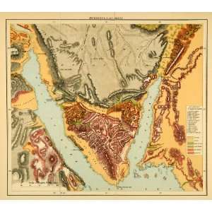  1903 Lithograph Antique Map Sinai Peninsula Cartography 