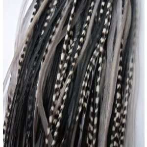   Pepper 8 11 Feather Hair Extension with 2 Silicone Micro Crimp Beads
