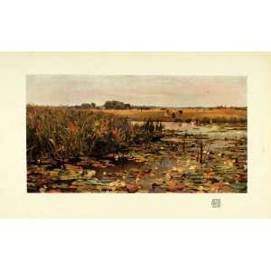   Water Lilies Cattails Pond Marsh Farming Field   Original Color Print
