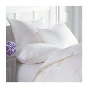  Downright SIER SIERRA Comforel Pillow Health & Personal 