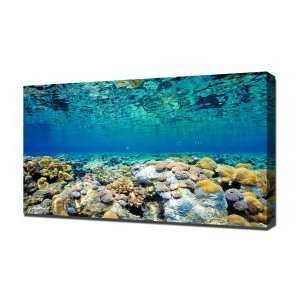  Coral Reef   Canvas Art   Framed Size 32x48   Ready To 