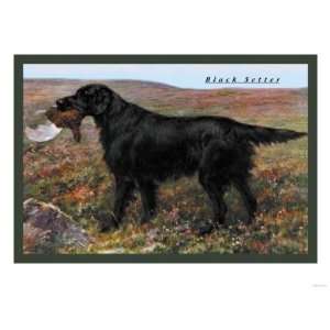  Black Setter Animals Giclee Poster Print, 24x18