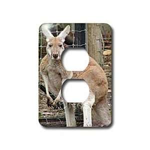  Wild animals   Red Kangaroo   Light Switch Covers   2 plug 