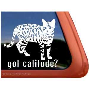  Got Cattitude? ~ Cute Kitty Cat Vinyl Window Decal 