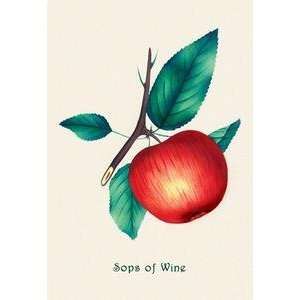  Vintage Art Sops of Wine   04148 x