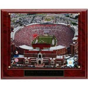   (FSU) 13 x 10.5 Doak Campbell Stadium Plaque