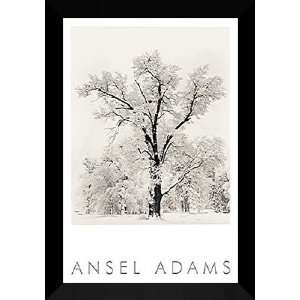  Ansel Adams Framed Art 28x40 Oak Tree