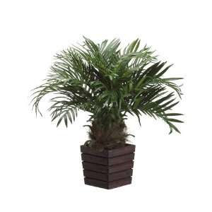  24 Phoenix Palm in Wood Container Green (Pack of 4)
