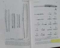 BOOK   Roman Military Equipment, Must Have LOOK  
