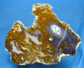 Agate Amethyst Sage Dendritic Nevada Polished Slab m41  