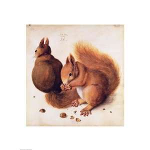  Squirrels, 1512   Poster by Albrecht Durer (18x24)