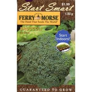  Ferry Morse 2030 Broccoli Seeds, De Cicco (1.5 Gram Packet 
