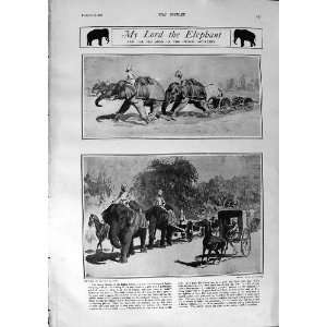    1900 INDIAN ARTILLERY ELEPHANTS WAR MCKINLEY BRYAN