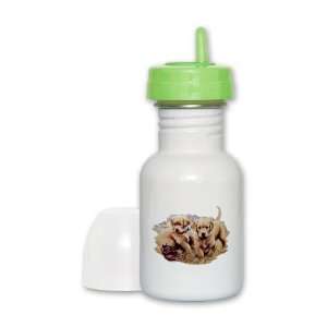    Sippy Cup Lime Lid Golden Retriever Puppies 
