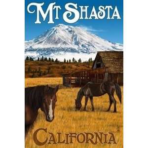 Mt. Shasta and Horses, California Poster (Lantern Press)