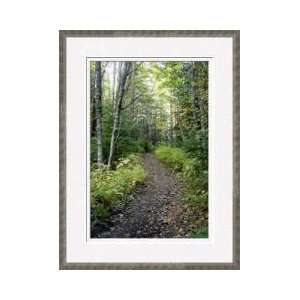 Mountain Path Whistler British Columbia Framed Giclee Print  