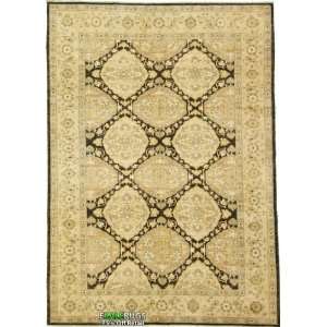  6 3 x 8 10 Ziegler Hand Knotted Oriental rug