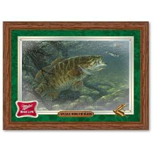   Small Mouth Bass Reflective Wall Mirror 