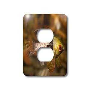   Lembeh Straits, Indonesia   Light Switch Covers   2 plug outlet cover