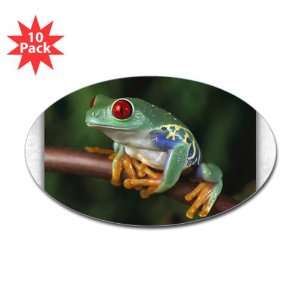  Sticker (Oval) (10 Pack) Red Eyed Tree Frog Everything 