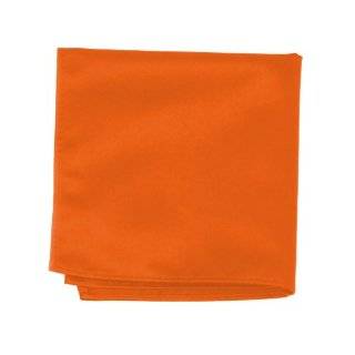   Color Mens Skinny 2 Tie by Jacob Alexander   Burnt Orange Clothing