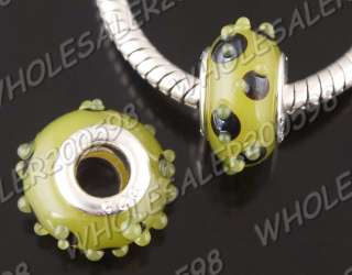 110PCS 22styles Lampwork Glass Beads (5MM Hole) NO K23 08C6