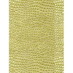  Kravet KINASE PEAR Fabric