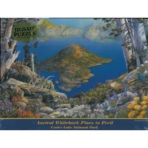  Ancient Whitebark Pines in Peril Toys & Games