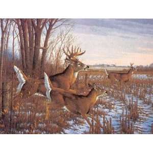  Michael Sieve   Seasons End   Whitetail Deer