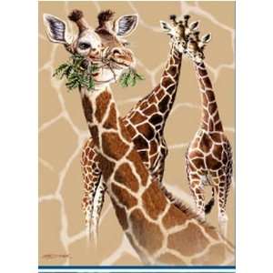   Size Mink Plush   Signature Collection 3 Giraffes 