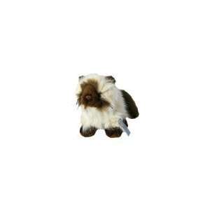  Webkinz Pet of the Month  March 2010  Himalayan Cat 