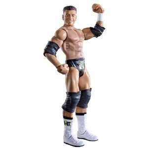  WWE Alex Riley Figure Series 17 Toys & Games