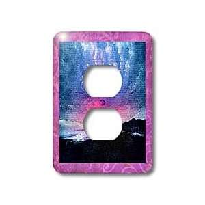 Susan Brown Designs Nature Themes   Night Sky   Light Switch Covers 