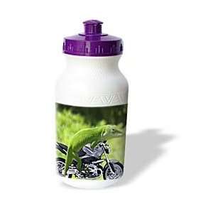  Sandy Mertens Animals   Gecko Rider   Water Bottles 